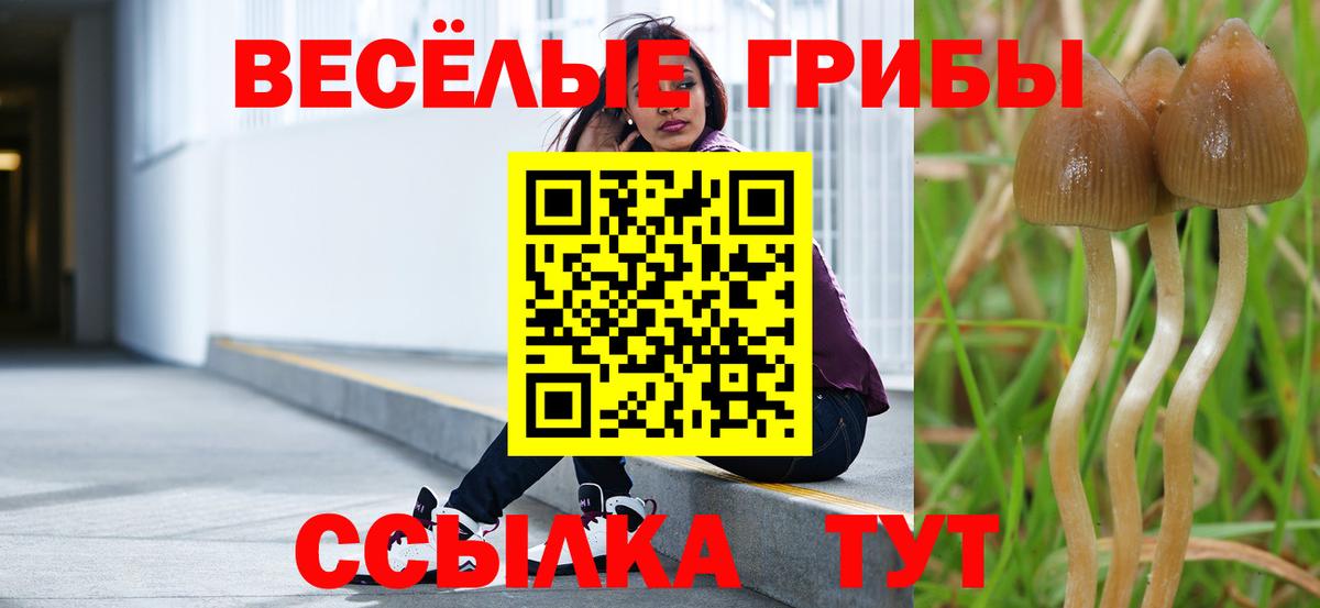 Псилоцибиновые грибы мухоморы Тутаев