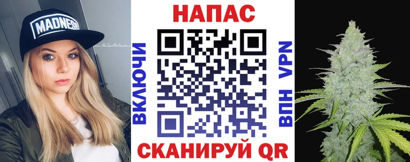 где можно купить наркотик  Тутаев  Бошки Шишки Amnesia 